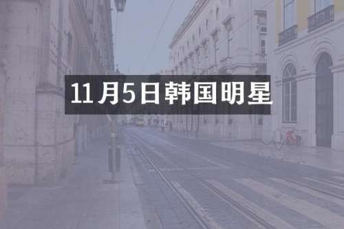 11月5日韩国明星