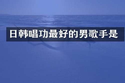 日韩唱功最好的男歌手是