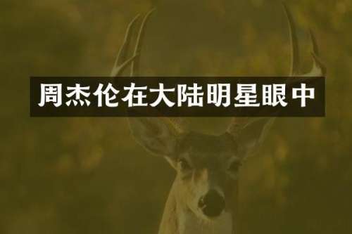 周杰伦在大陆明星眼中