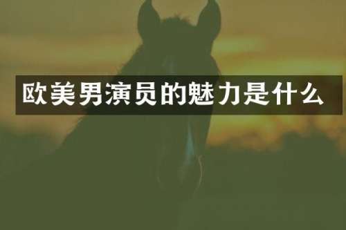 欧美男演员的魅力是什么