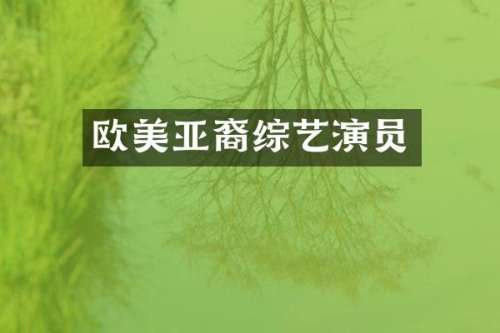 欧美亚裔综艺演员
