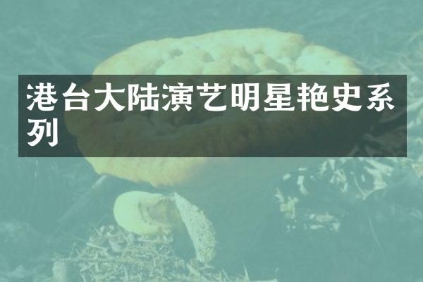 港台大陆演艺明星艳史系列