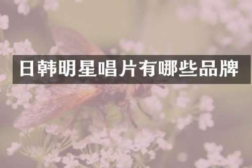 日韩明星唱片有哪些品牌