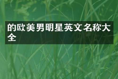 的欧美男明星英文名称大全