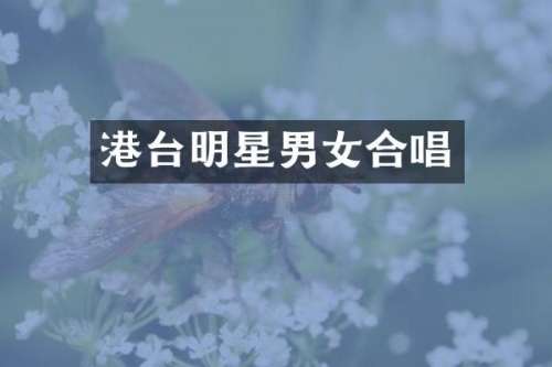 港台明星男女合唱