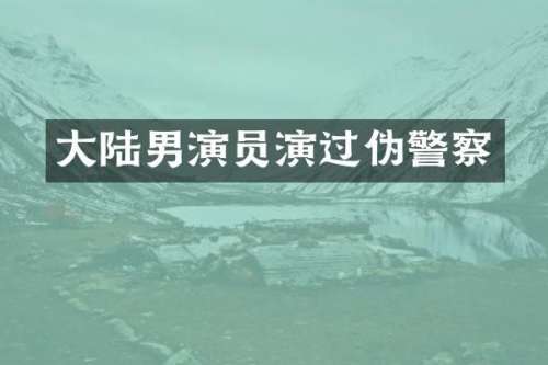 大陆男演员演过伪警察
