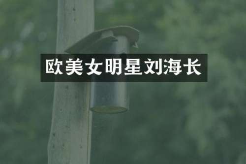 欧明星刘海长