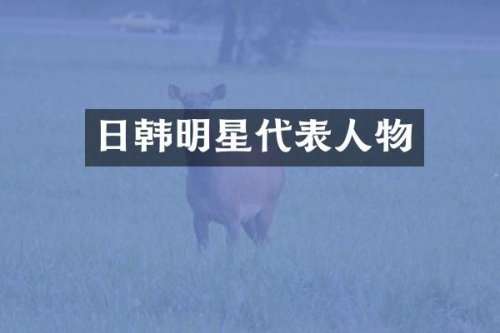 日韩明星代表人物