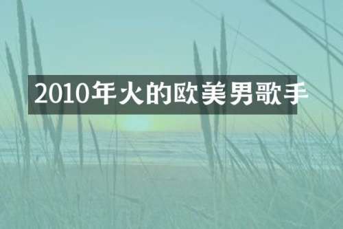 2010年火的欧美男歌手