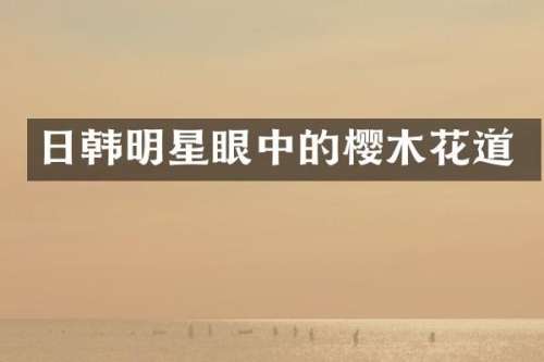 日韩明星眼中的樱木花道