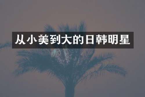 从小美到大的日韩明星