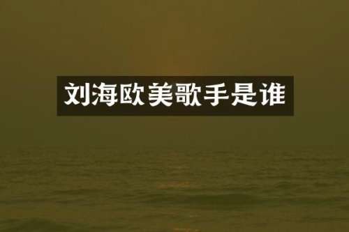 刘海欧美歌手是谁