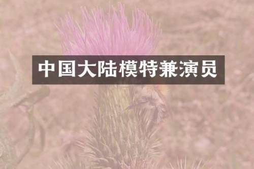 中国大陆模特兼演员