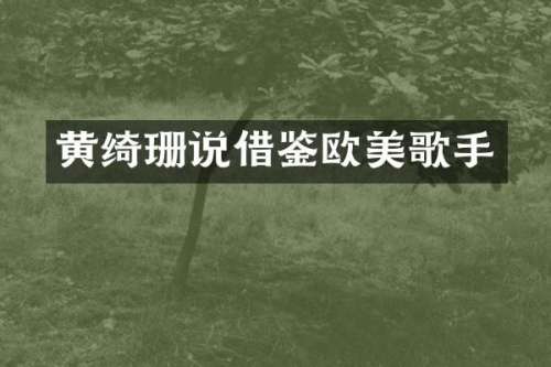 黄绮珊说借鉴欧美歌手