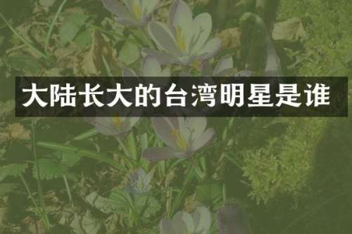 大陆长大的台湾明星是谁