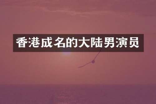 香港成名的大陆男演员