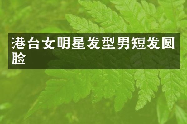 港台女明星发型男短发圆脸