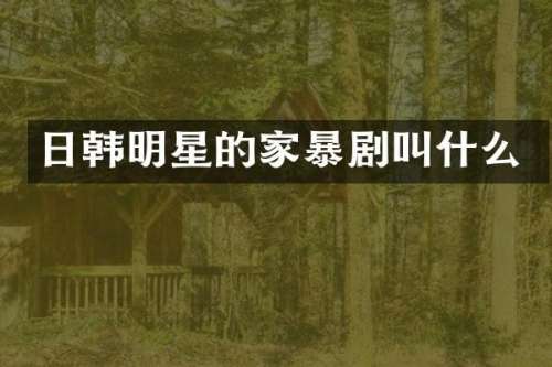 日韩明星的家暴剧叫什么