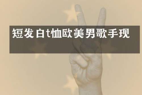 短发白t恤欧美男歌手现场