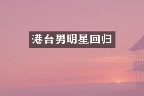 港台男明星回归
