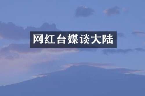 网红台媒谈大陆