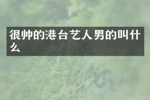很帅的港台艺人男的叫什么