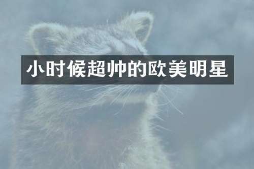 小时候超帅的欧美明星
