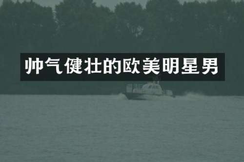 帅气健壮的欧美明星男