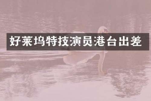 好莱坞特技演员港台出差