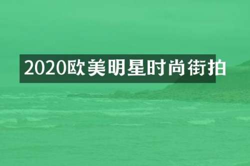 2020欧美明星时尚街拍