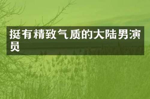 挺有精致气质的大陆男演员