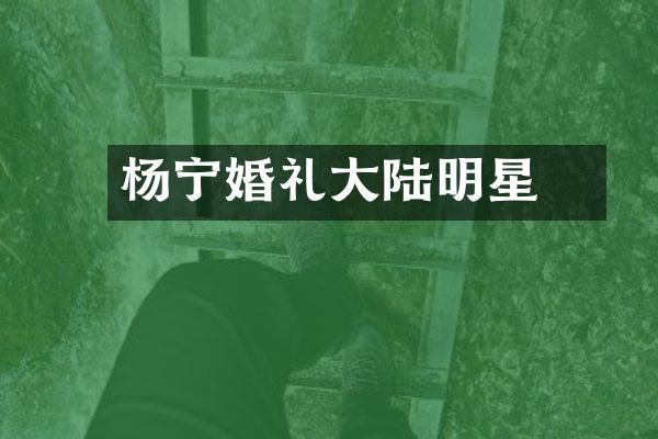 杨祐宁婚礼大陆明星