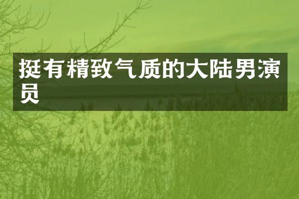 挺有精致气质的大陆男演员