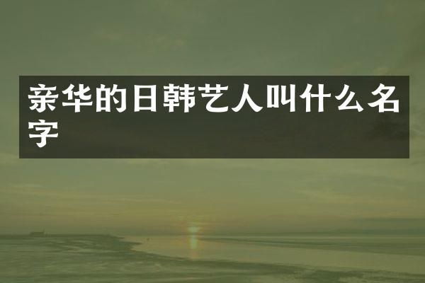 亲华的日韩艺人叫什么名字