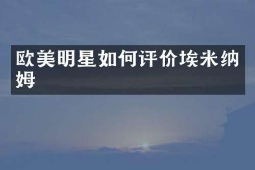 欧美明星如何评价埃米纳姆