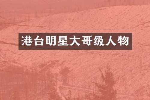港台明星大哥级人物