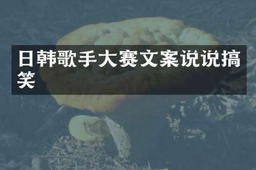日韩歌手大赛文案说说搞笑