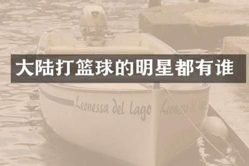 大陆打篮球的明星都有谁