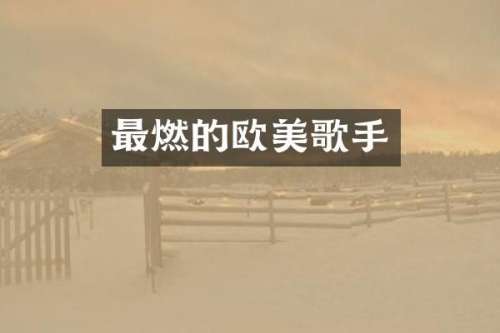最燃的欧美歌手