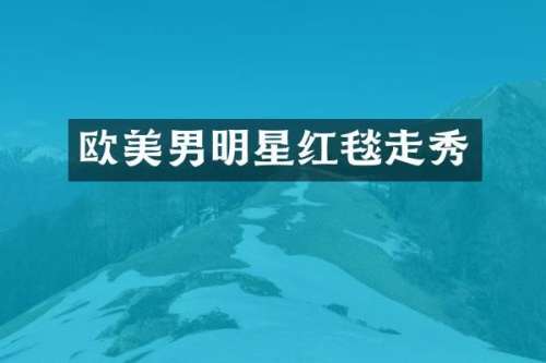 欧美男明星红毯走秀