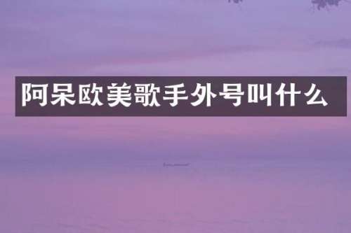阿呆欧美歌手外号叫什么