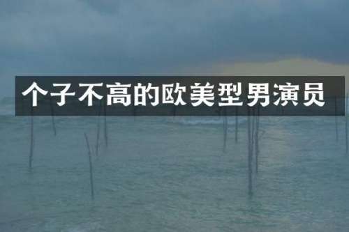 个子不高的欧美型男演员