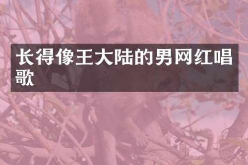 长得像王大陆的男网红唱歌