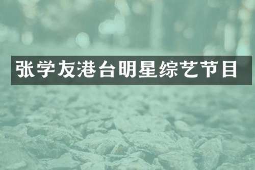 张学友港台明星综艺节目