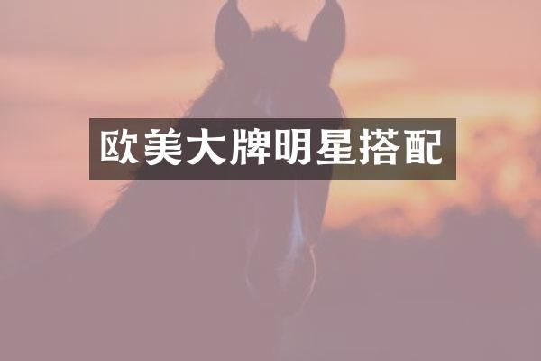 欧美大牌明星搭配