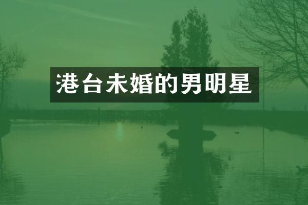 港台未婚的男明星