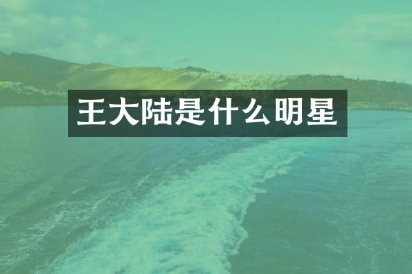 王大陆是什么明星