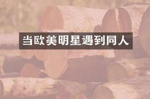 当欧美明星遇到同人