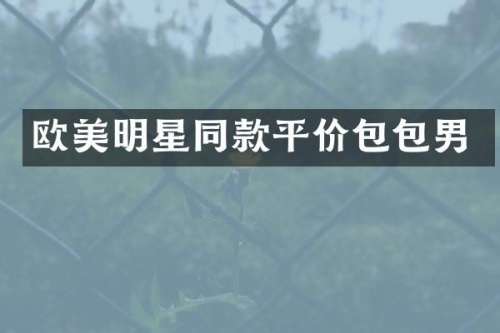 欧美明星同款平价包包男