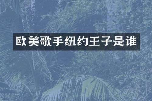 欧美歌手纽约王子是谁